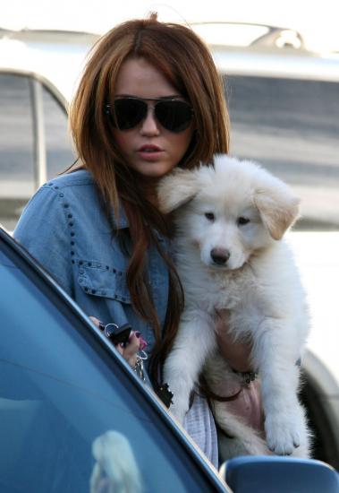 � ����� ������ �������� ����� ������