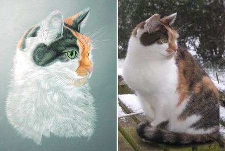 �������� ��� ��������