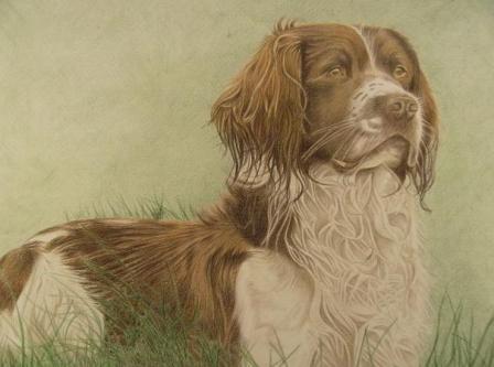 �������� ��� ��������