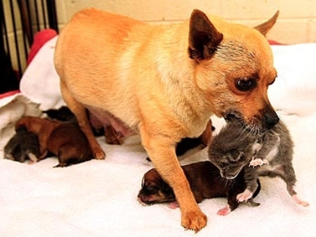 ������ ��������� �����