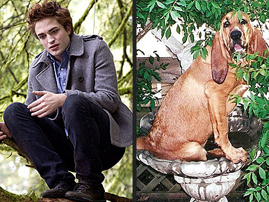 � � ��� ��, �� � ��� �