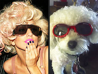 � � ��� ��, �� � ��� �