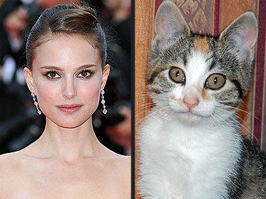 � � ��� ��, �� � ��� �