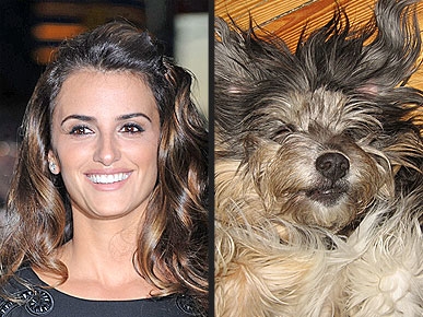 � � ��� ��, �� � ��� �