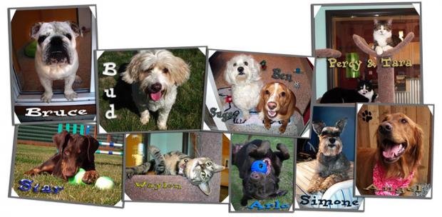 ��������� ��� ������ �������