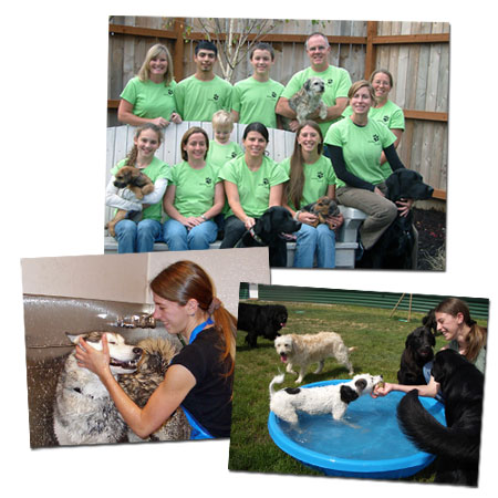 ��������� ��� ������ �������