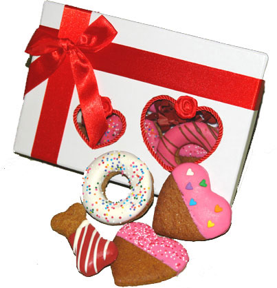 ���������� ��� �����