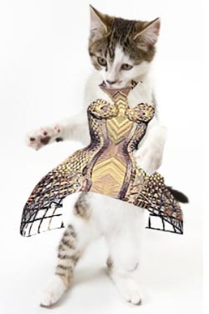 ������ ��� ����� �� �����?