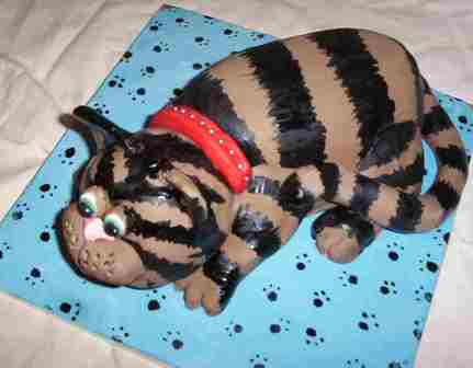 ���� ��� ��������� �����