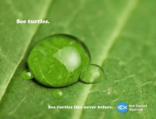 ������� ������� �