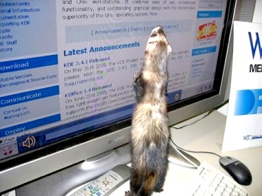 ���� ��� ������