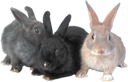 �������� ������ �������!