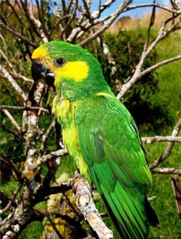 ������ ����� ����� �������� ������