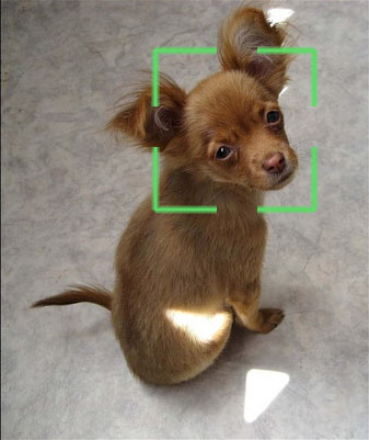 ������� � �����