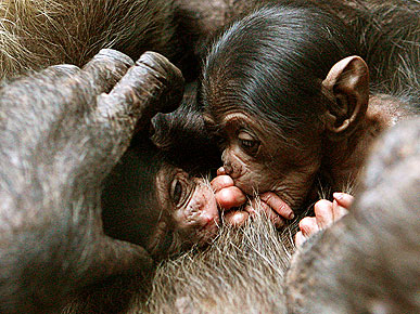 � �����������!