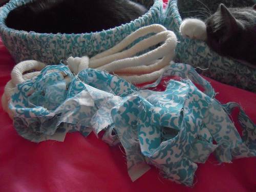 ����� ��� ��� �����