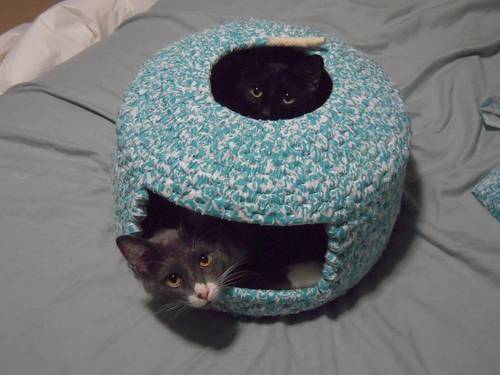 ����� ��� ��� �����