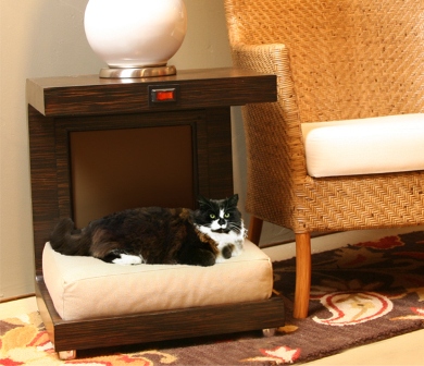 ����� ��� ����� � �����