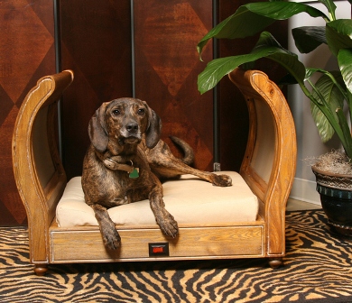 ����� ��� ����� � �����