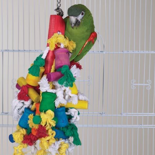 ����� ������� ��� ��������