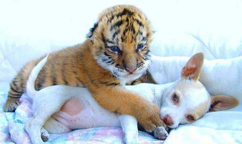 � ����� �����!