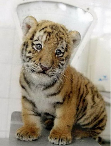 � ����� �����!