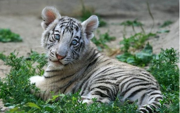 � ����� �����!