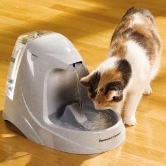 ������ ��� �����