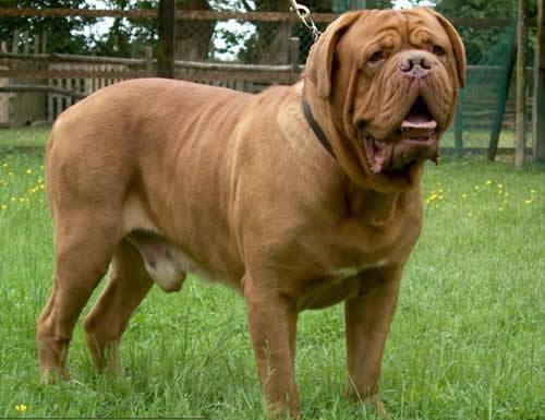 ����� ������� ������ �����