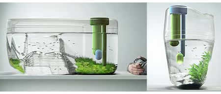 ������������ ��������