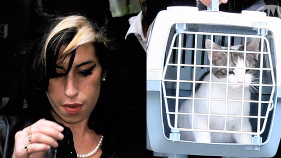 ��� �������� ���������� �� ������ �������