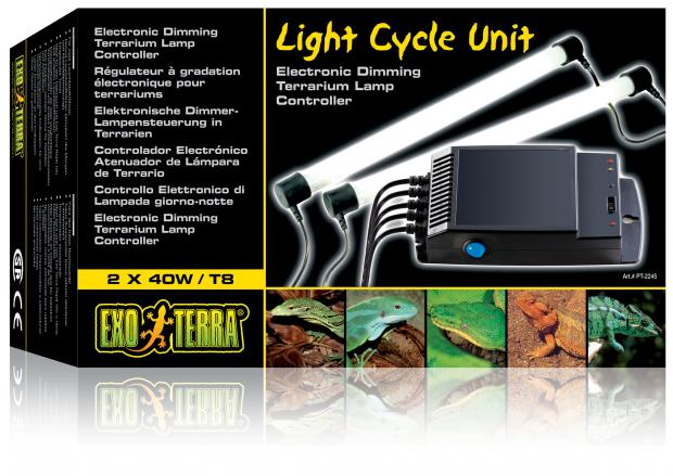 ����� ��� ����������, ����������� ������ � �����