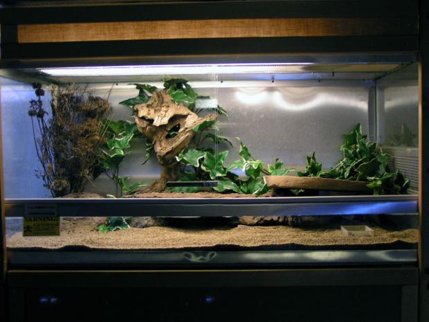 ����� ��� ����������, ����������� ������ � �����