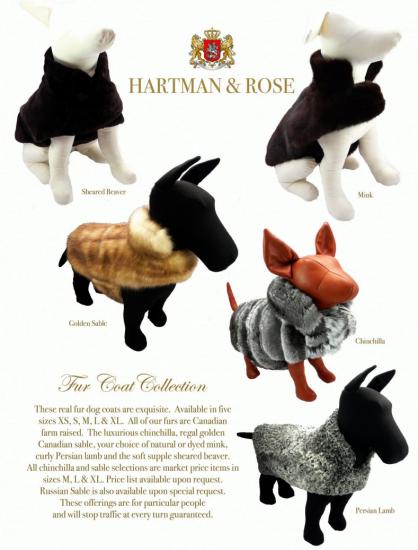 ���� ��� �����