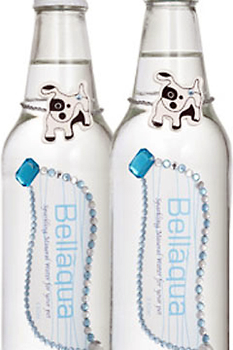 ��������� ��� �����