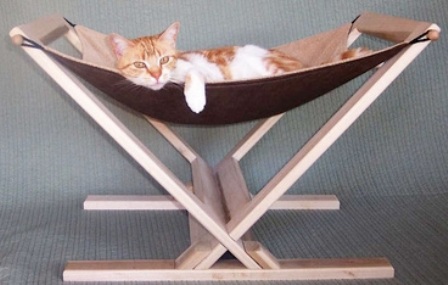 ����� ��� �����