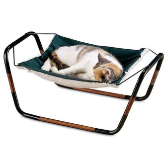 ����� ��� �����