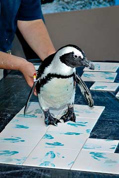 ������� ����� �������?