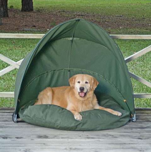 ������ �� ������ ��� ����� � �����