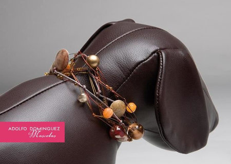 ��� ��������� ����