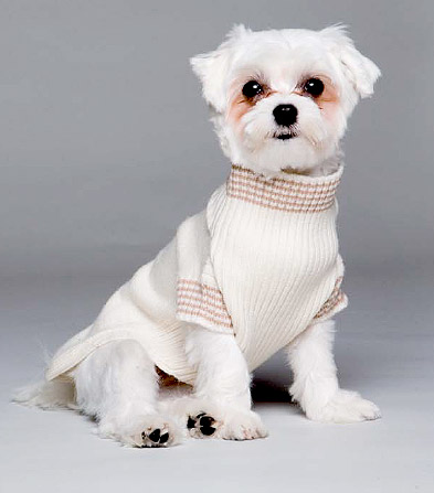 ��� ��������� ����