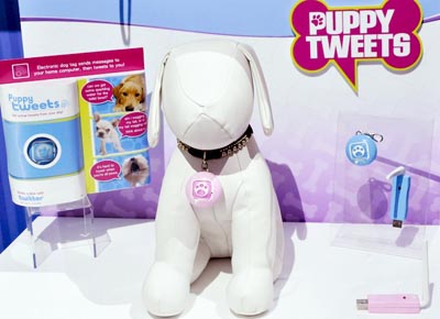 ������� ������� ��� �������������