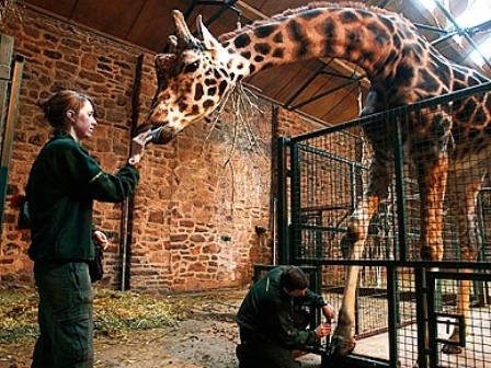 ������� ��� ������