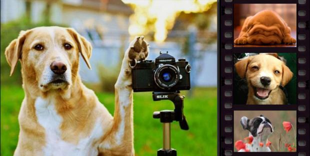 ���������� ����� � �������