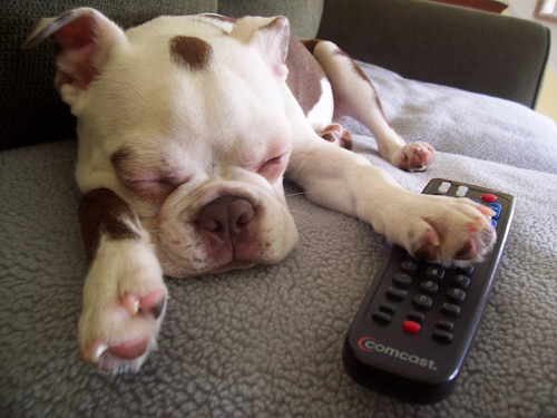 ���������� ����� � �������