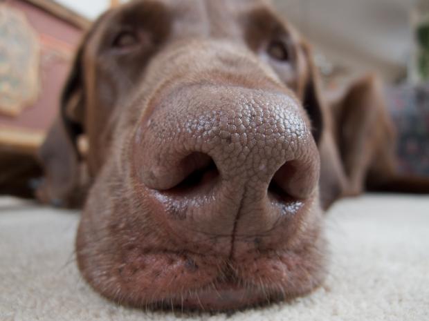 ���������� ����� � �������