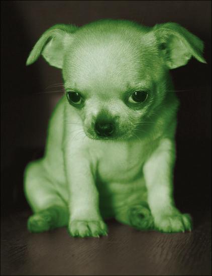 ���������� ����� � �������