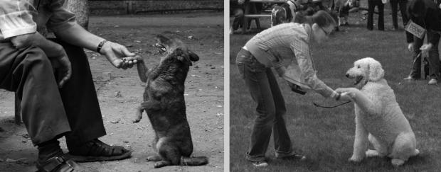 ���������� ����� � �������