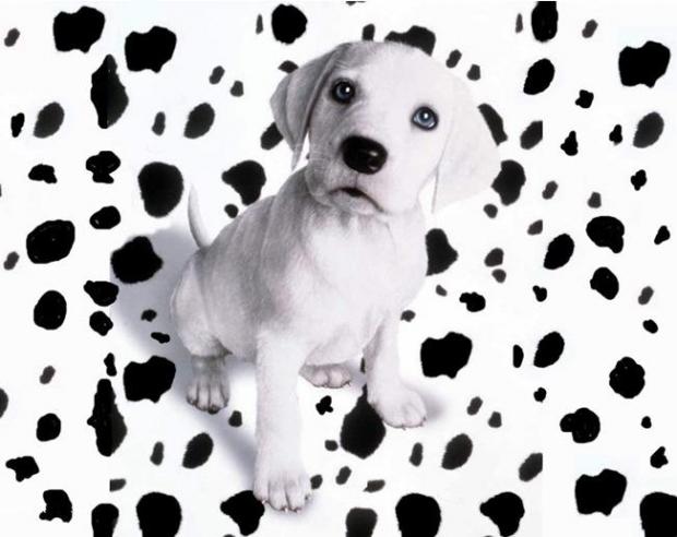 ���������� ����� � �������