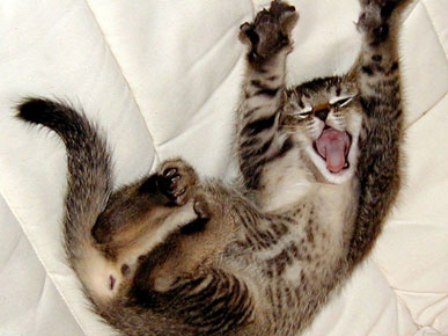 �������� ������: ��� �������� �����!